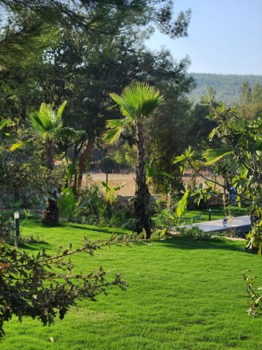 Betonarme Villa ve Müştemilat İnşaatı (14)