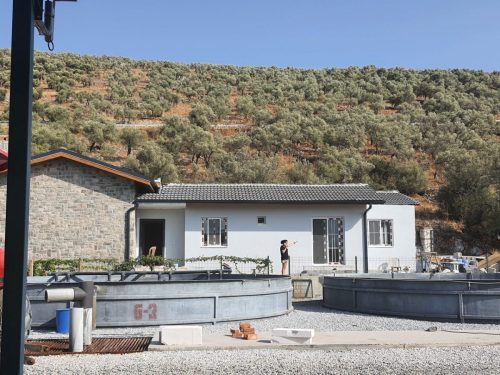Taş Ev Restorasyon ve Yenileme Projesi (4)