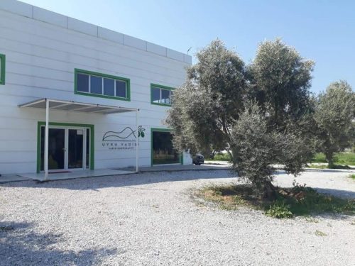 Zeytinyağı Fabrikası İnşaatı (3)