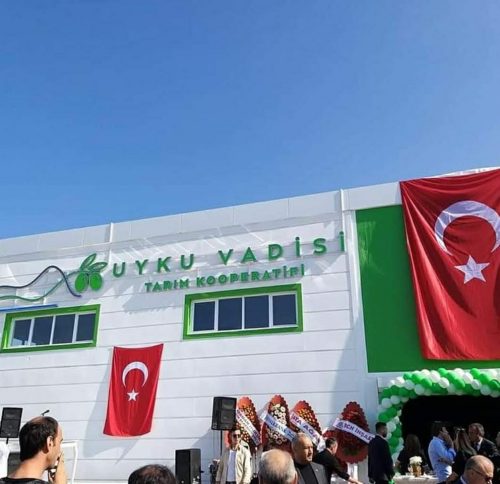 Zeytinyağı Fabrikası İnşaatı (4)